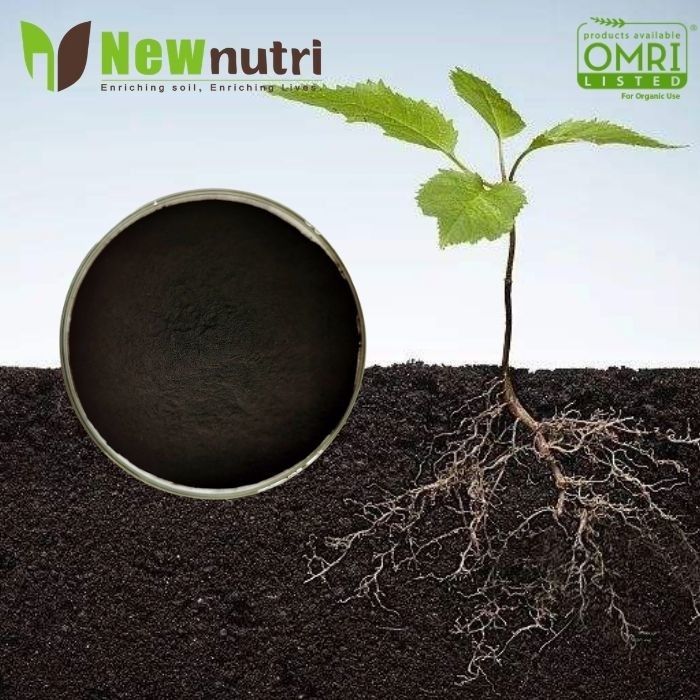 5% Phosphorus 16% Alginic Acid Powdered Seaweed Fertilizer